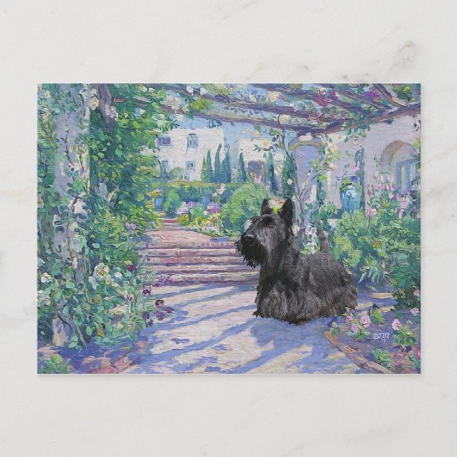 Tarjeta postal del Terrier Escocés (Anverso)