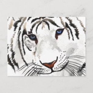Tarjeta postal del tigre blanco