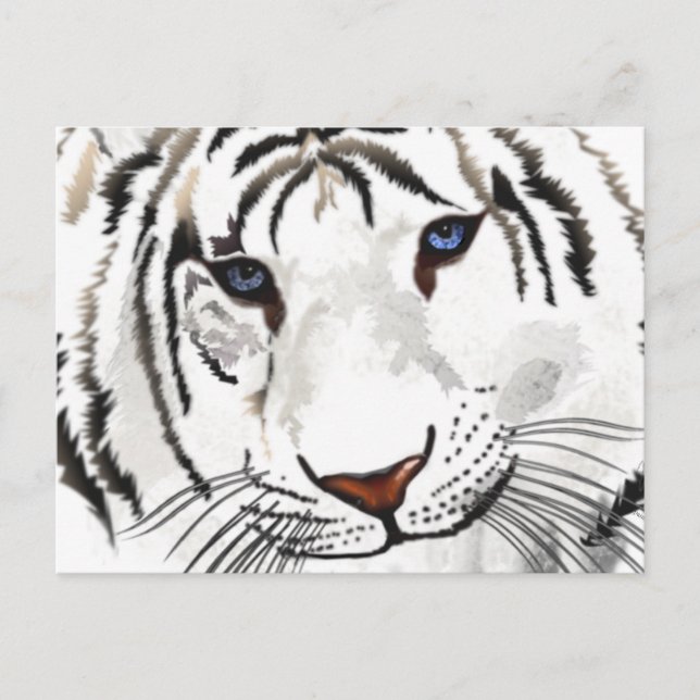 Tarjeta postal del tigre blanco (Anverso)