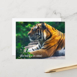 Tarjeta postal del tigre de Amur