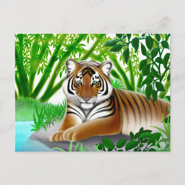 Tarjeta postal del tigre de Sumatra en peligro de  (Anverso)