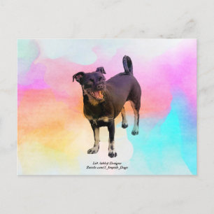 Tarjeta Postal Disco de París