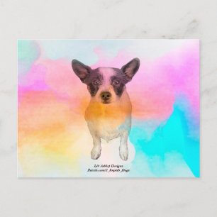 Tarjeta Postal Disco de Zoey