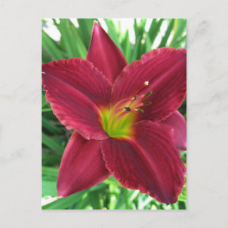 Tarjeta postal diurna Ruby Red
