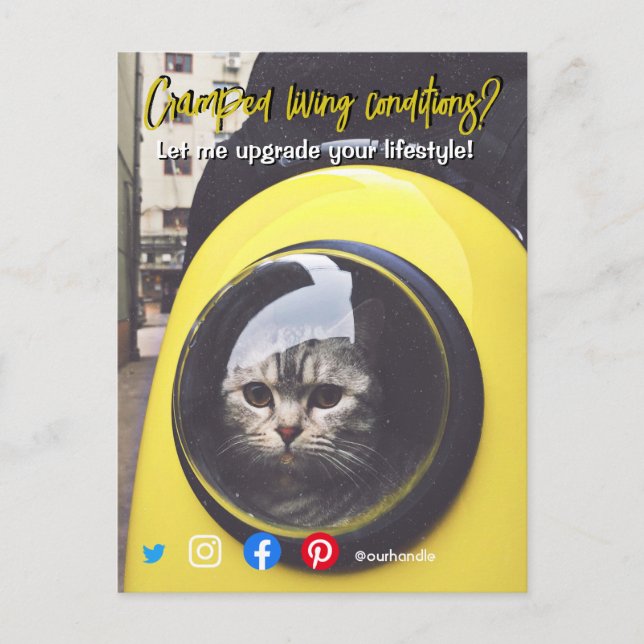tarjeta postal divertida de bienes raíces gato viv (Anverso)