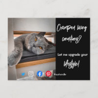 tarjeta postal divertida de bienes raíces, gatos v