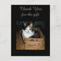 Tarjeta postal divertida de gato calicó en caja Gr