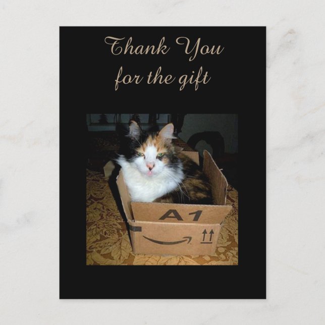 Tarjeta postal divertida de gato calicó en caja Gr (Anverso)