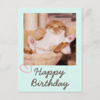 Tarjeta postal divertida de gato vintage y feliz c