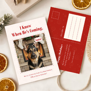 Tarjeta postal divertida de perro en Navidad