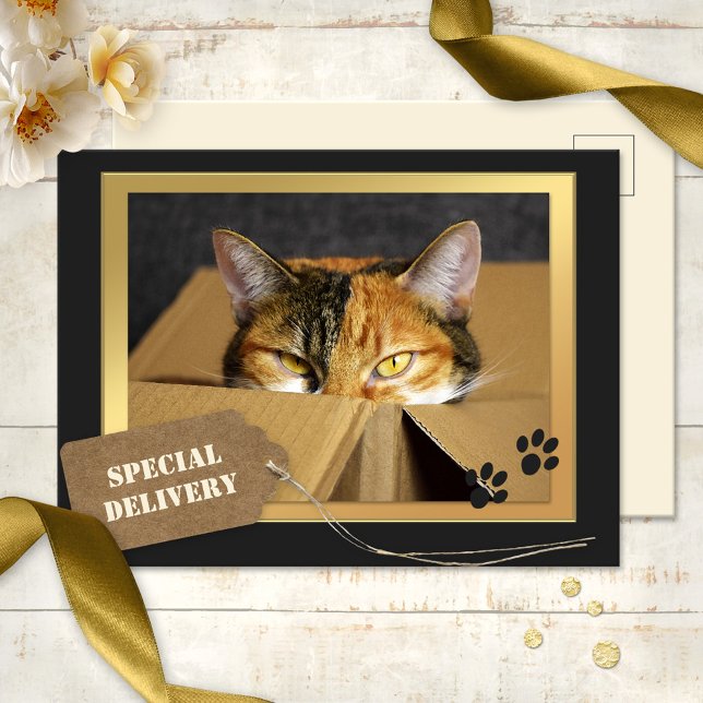 Tarjeta postal divertida para el cumpleaños del ga (A cute birthday postcard featuring a kitty in a cardboard box - special delivery for cat lovers)