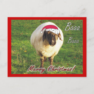 Tarjeta postal divertida para Navidades ovinos