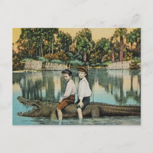 Tarjeta postal divertida Ride'um Gator