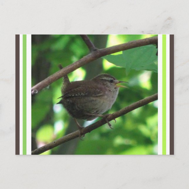 Tarjeta postal DIY de Cucaracha Cantora Adorable (Anverso)