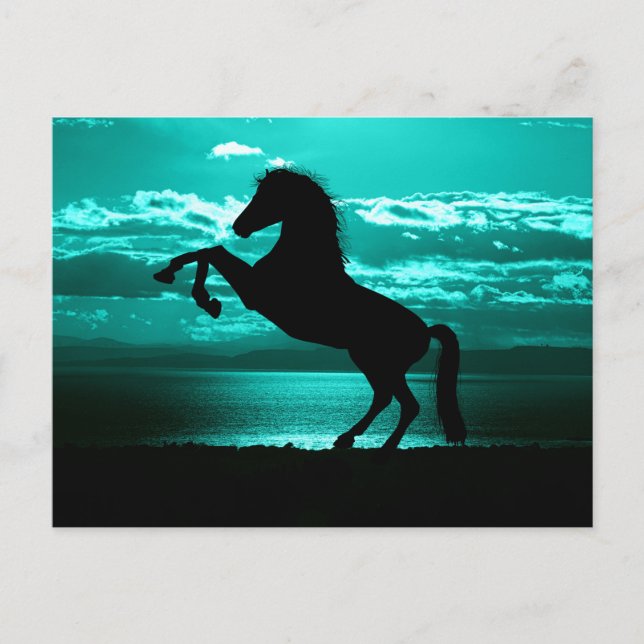 Tarjeta Postal Dramática de Caballo Negro y Cielo  (Anverso)