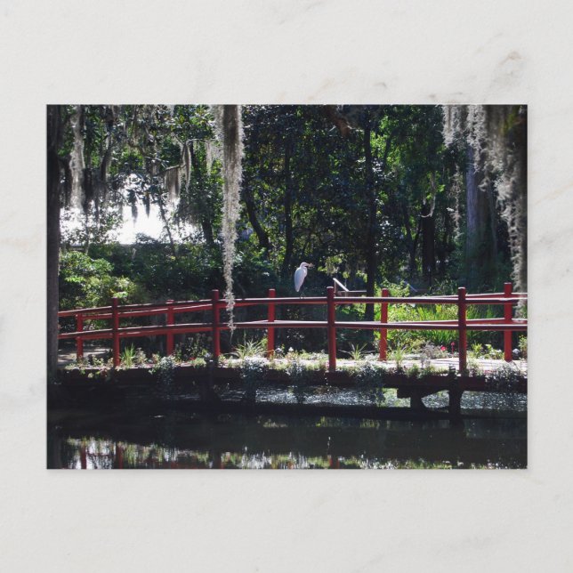 Tarjeta postal Egret on Red Bridge (Anverso)