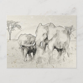 Tarjeta postal Elephant Safari Sketch