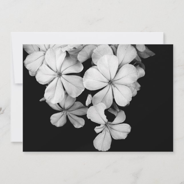 tarjeta postal en b/n (Anverso)