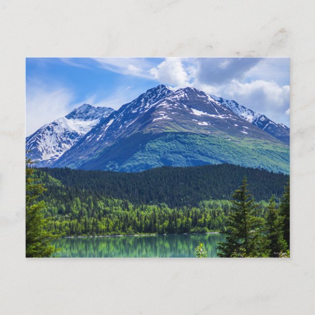 Tarjeta postal en blanco (Anverso)