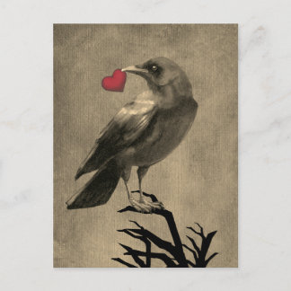 Tarjeta postal en blanco de amor de cuervo