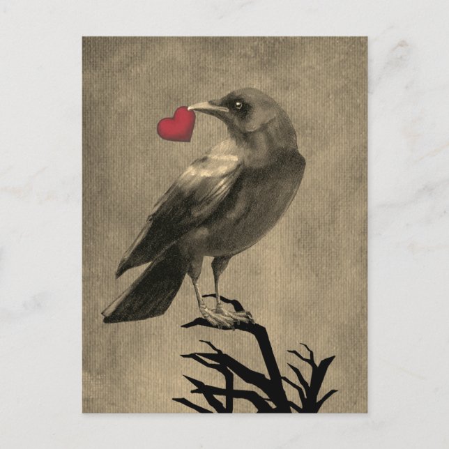 Tarjeta postal en blanco de amor de cuervo (Anverso)