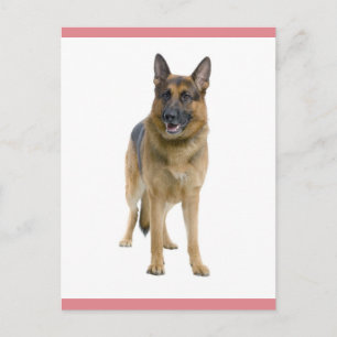 Tarjeta postal en blanco de cachorro de pastor ale