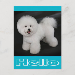 Tarjeta Postal en Blanco de Cachorro de Perro Bich