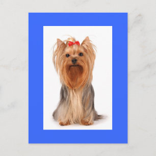 Tarjeta postal en blanco de cachorro de perro Terr