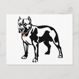 Tarjeta postal en blanco de cachorro Pit Bull