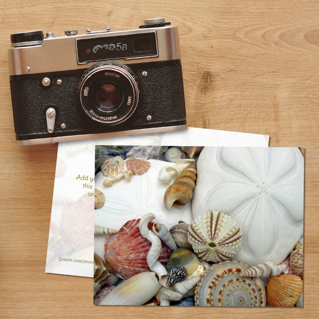 Tarjeta postal en blanco de dos dólares de arena (Subido por el creador)