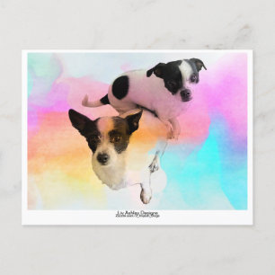 ¡Tarjeta Postal en Blanco de Zoey & Gracie Disco!