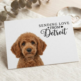 Tarjeta Postal Enviando Amor Desde Detroit