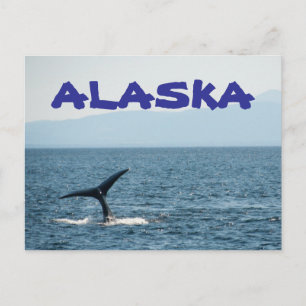 Tarjeta postal escénica de Alaska de cola de balle
