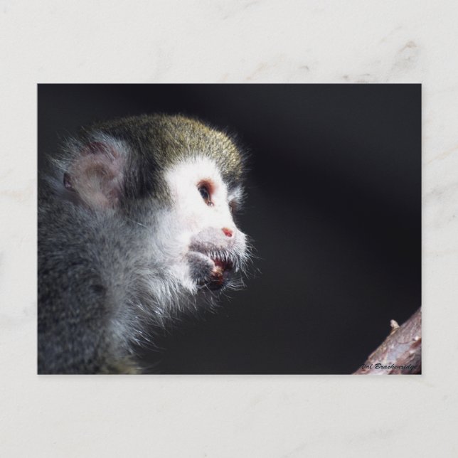 Tarjeta postal "esperanzadora" (Anverso)