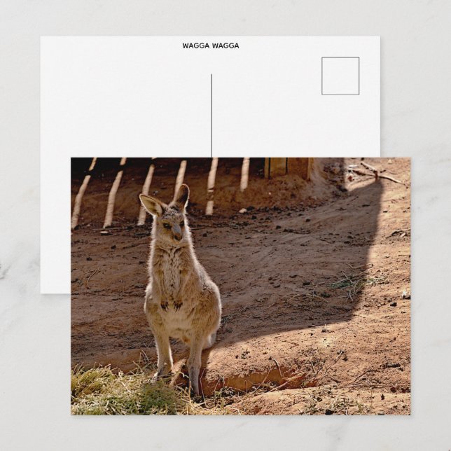 tarjeta postal estándar (Anverso / Reverso)