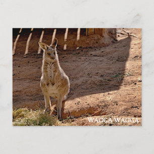 Tarjeta postal estándar