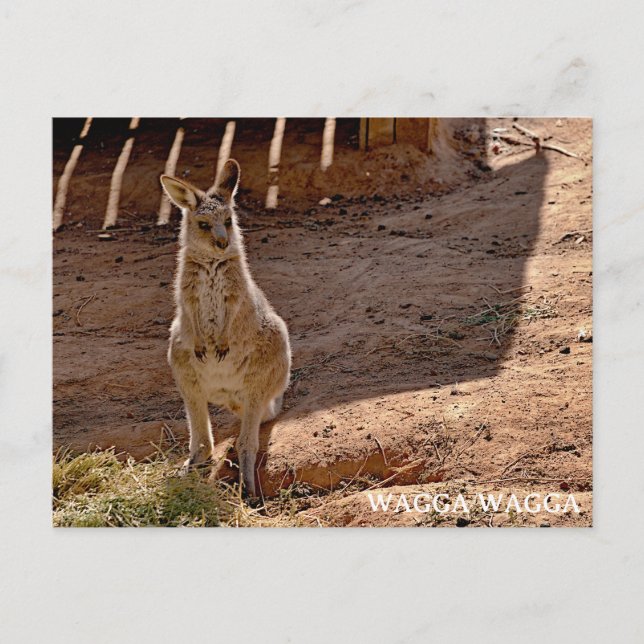 Tarjeta postal estándar (Anverso)