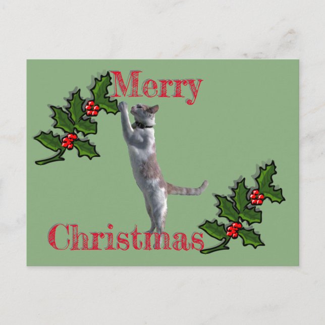Tarjeta postal - Feliz Navidad Holly y gato (Anverso)