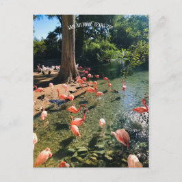 TARJETA POSTAL FLAMINGO
