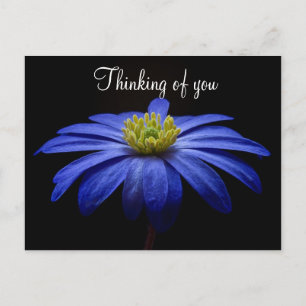 Tarjeta Postal Flor Azul