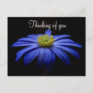 Tarjeta Postal Flor Azul