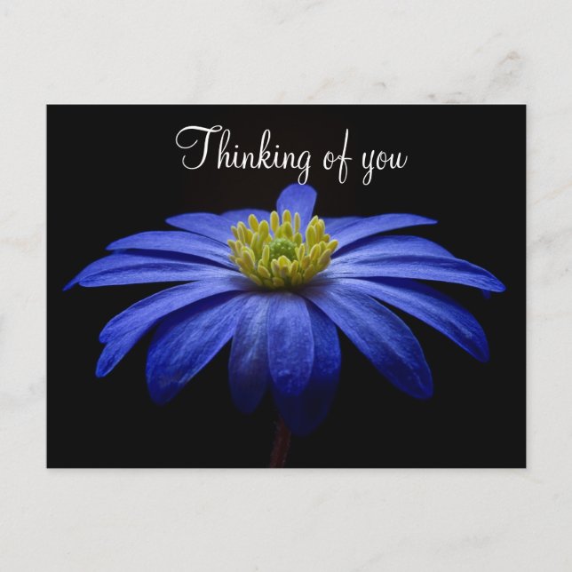 Tarjeta Postal Flor Azul (Anverso)