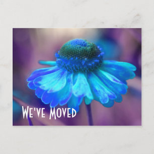 Tarjeta postal floral de nueva dirección de Zinnia