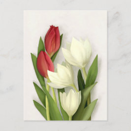 Tarjeta postal floral de tulipanes rojos y blancos