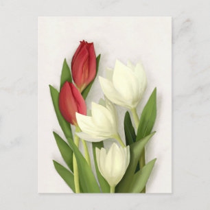Tarjeta postal floral de tulipanes rojos y blancos