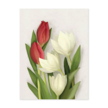 Tarjeta postal floral de tulipanes rojos y blancos