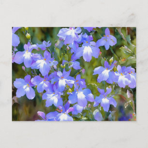 Tarjeta Postal Flores Azules No Me Olvides