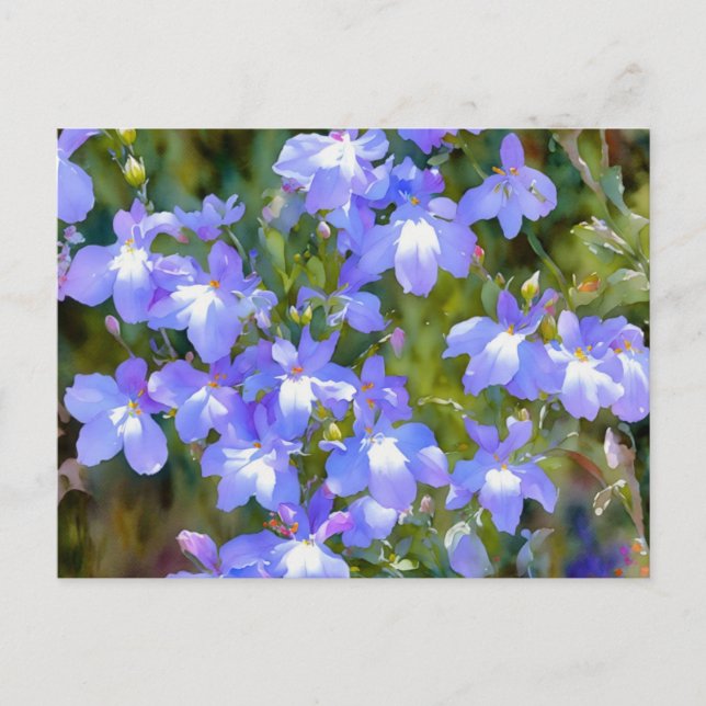 Tarjeta Postal Flores Azules No Me Olvides (Anverso)