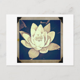 TARJETA POSTAL "FOTOGRAFÍA" DE LOTE DE ESTILO DE V