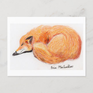 Tarjeta postal Fox de Sleeping